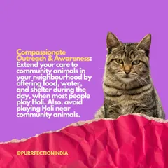 Tip 1 for a safe Holi: Show some compassion! Please provide food, water, and shelter for community animals during the day, and avoid playing with colours near them.