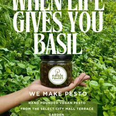 When my farm gives me an abundance of fresh basil, I make this hand-pounded vegan pesto. It’s a simple, flavourful paste made with ingredients grown right on our terrace garden at Select Citywalk.