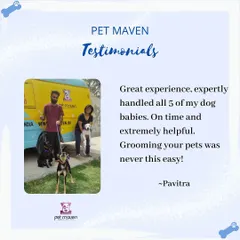 "Grooming your pets was never this easy!" This testimonial from a parent of five dog babies shows our ability to handle multiple pets efficiently and expertly, right in front of their home.