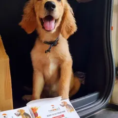 Look at that happy face. Little Bliss is all smiles, ready for her road trip with her favorite Lamb & Brown Rice and Chicken & Pasta meals. My travel-friendly packs make feeding on the go simple and healthy.