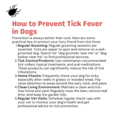Preventing tick fever is always better than treating it. Regular grooming, home checks, and keeping a clean environment are practical steps every pet owner should take.