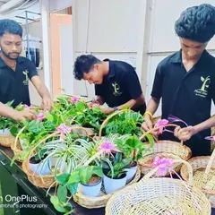 My hardworking team is the heart of Plant Studio. Here they are, carefully preparing beautiful plant hampers for a large Diwali order, ensuring every gift is perfect and delivered on time.