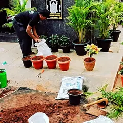 A snapshot of a busy planting day. I am preparing several pots with my specialized potting mix, getting them ready for new plants to create a beautiful container garden for a client.