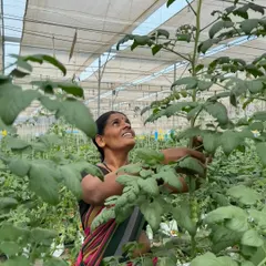 Celebrating Sharanamma, a joyful and strong member of our team. She is the breadwinner of her family, and her hard work and kindness, especially her evening teas, are deeply appreciated.