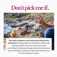 I'm very direct about my training style, so I want you to know if we're the right fit. I believe in empowering you, the owner, to build a strong relationship with your dog through positive reinforcement, not quick fixes or harsh methods.