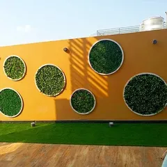 A completed view of the unique feature wall with circular artificial green panels of various sizes, creating a playful and modern piece of living art on this terrace.