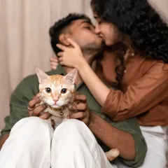 "My Hoomans are getting Married!" This creative shot of Toffee the cat with his parents kissing in the background is a playful and heartwarming way to announce an engagement.