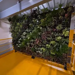 Here is the complete vertical garden we created for the Amazon warehouse in Delhi. This project demonstrates our capability to handle large-scale commercial installations, turning a functional space into a green landmark.