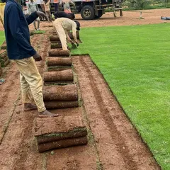 My team at work laying rolls of Mexican grass for a large field. This method provides instant lawn coverage and is much faster than seeding.