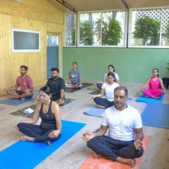 Find your focus in our sunlit shala. Participants in a morning yoga class, breathing together and finding their center in our peaceful studio environment.