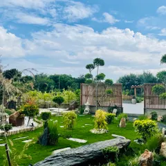 A farmhouse garden never fails to amaze. Its beauty evolves year after year, showing different shades at different times of the day and looking unique with every passing season. This Zen inspired design is a testament to that.