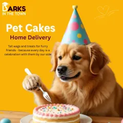 This professional graphic highlights my pet cake home delivery service. The adorable Golden Retriever in a party hat is ready to dig in, showing just how special these cakes can make any day.