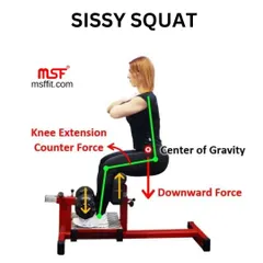 An infographic explaining the biomechanics of the Sissy Squat. Our Sissy Squat machine allows you to safely perform this challenging exercise to isolate the quadriceps.