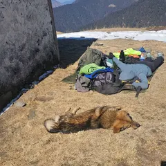 A well-deserved rest for both me and my trail buddy. Knowing when to push and when to recover is a critical skill in endurance adventures, and it's something I emphasize in my coaching.