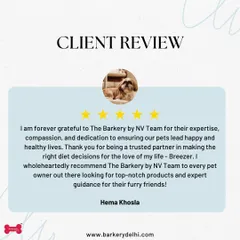 I am so grateful for feedback like this from our wonderful community. Knowing that my meal plans and guidance are helping dogs like Breezer live happier, healthier lives is why I started The Barkery. Your trust means the world to me.