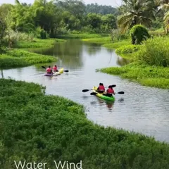 Find your rhythm as you kayak through the calm, gentle waters at our resort. It's a perfect way for your group to unwind, connect with nature, and enjoy a peaceful escape from the everyday hustle.