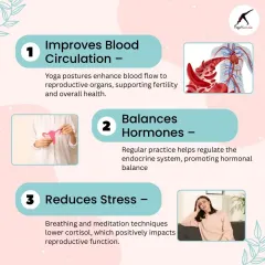 This infographic details how yoga supports reproductive health by improving blood circulation, balancing hormones, and reducing stress. It's a holistic approach to women's wellness.