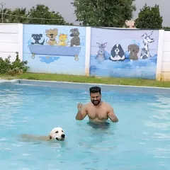 A perfect day for a swim. A pet parent enjoys the water with their happy Golden Retriever, with our fun wall murals in the background.