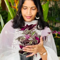 This is me, Keerthi. When I find a plant that matches my dress, I have to take a picture! I'm a mom, a small business owner, and I love what I do. It's challenging, but with my amazing team and clients, we make Bangalore greener one garden at a time.