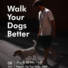 Our 'Walk Your Dogs Better' workshop is one of our most popular in-person events in Bangalore. This is where we provide hands-on coaching to help you and your dog master loose-leash walking and enjoy more peaceful, connected strolls together.