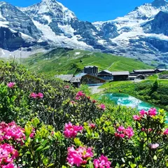 The Swiss Alps are a powerful teacher. The snow-capped peaks, vibrant meadows, and clear lakes remind us of nature's immense strength and beauty. I choose locations like this to help you feel grounded, expansive, and deeply connected to the earth.
