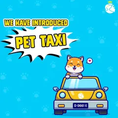 We have officially introduced our pet taxi service to make your life easier. This graphic with a happy Shiba Inu represents our commitment to providing joyful and safe travel for your pets.