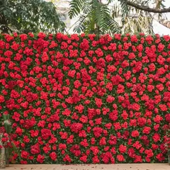 A full view of the vibrant red floral wall. This type of installation serves as a perfect branded photo backdrop, encouraging social sharing and leaving a lasting visual impression on guests at any conference or product launch.