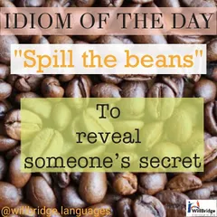 Idiom of the Day: "Spill the beans". This popular idiom means to reveal a secret, often unintentionally.
