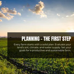 The first step to any successful farm or garden is a solid plan. I help you evaluate your land's soil, climate, and water supply to set goals for a productive and sustainable setup.