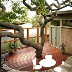A beautiful, gnarled tree provides natural shade and character for this wooden deck. My approach involves seeing existing trees not as obstacles, but as valuable assets that can define and enhance an outdoor living space.