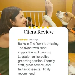 An amazing review from a Labrador owner. They loved the supportive owner, friendly staff, and fantastic results. We strive to provide great service every time.