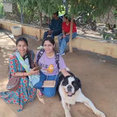 Two friends enjoying a relaxed moment, petting the St. Bernard under the shade of a tree.
