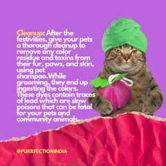 Tip 3 for a safe Holi: Cleanup is crucial. If any colour gets on an animal, gently clean it with a pet-safe shampoo. These dyes can be toxic if ingested during grooming.