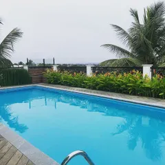 The rooftop pool is framed by tropical plants and palm trees, creating a private resort-like feel. The design ensures that even in a city, you can have a tranquil space to relax and unwind.