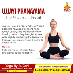 Ujjayi Pranayama, also known as the "Victorious Breath," is a technique that calms the nervous system and reduces anxiety. The soft, ocean-like sound of the breath promotes deep relaxation and focus.