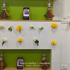 A minimalist wall decoration using individual fresh flowers. This is a subtle yet beautiful way to add color and life to an office or clinic wall for a special occasion.
