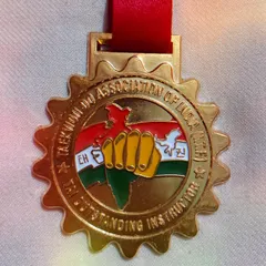 The medal I received along with the Outstanding Instructor award from the Taekwon-do Association of India (TAI).