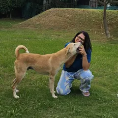 This image is the same as the previous one, showing a heartwarming interaction. We provide a space where you can focus on what truly matters: spending quality time with your loved ones, furry or not.