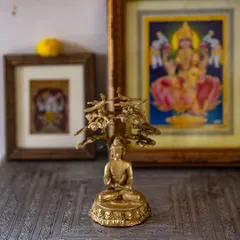 A beautiful new addition to our shala, a gift from a student. This idol of Lord Buddha under the Bodhi Tree is a precious reminder of the path to enlightenment, peace, and calm.