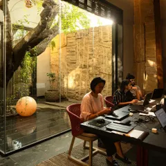 A biophilic workspace where employees work next to a glass-enclosed courtyard. The design brings a mature tree and natural light into the office, creating a calm and inspiring environment that enhances focus and well-being.