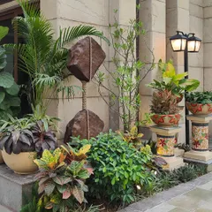 A closer look at the plant composition at the entrance. We layered plants of different heights, colors, and textures, from leafy crotons to tall palms, and used decorative pedestals to add dimension and elegance to the evergreen garden design.