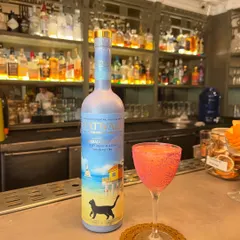 A closer look at the Stella By Starlight. The vibrant pink hue comes from natural botanicals, and it's served in a classic coupe glass. All the sass, none of the alcohol.