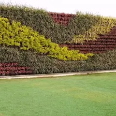 Another perspective of the same vertical garden, highlighting the vibrant chartreuse and deep green foliage that forms a beautiful, natural pattern.