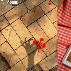 Golden hour moments. The shadow of my hand reaches for a fallen flower on the pavement, bathed in warm evening light.