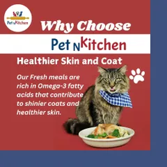 A healthy outside starts from the inside. This graphic with a well-groomed cat explains how my fresh meals, rich in Omega-3 fatty acids, contribute to healthier skin and a noticeably shinier coat.