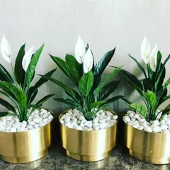 These are highly realistic artificial peace lily plants in elegant brass pots. They are a popular choice for corporate clients who want sophisticated desk or shelf decor that requires no maintenance.