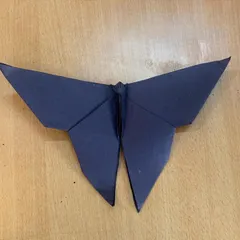 The symbol of our academy, a butterfly, carefully folded from paper. Our origami workshops are a camp favorite, blending art with mindful concentration.