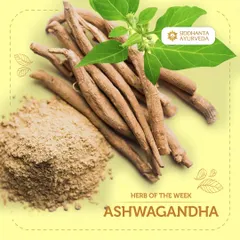This week's featured herb is Ashwagandha, the "King of Ayurvedic Herbs." It is a powerful adaptogen that I use to help the body combat stress, boost energy, and promote overall vitality.