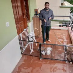 Getting ready for a walk on a rainy day. Our balcony is safely enclosed, providing a secure waiting area before we head out.