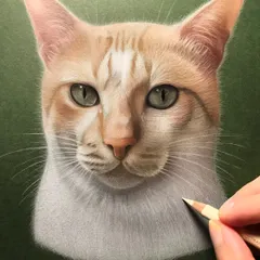 Here is a finished color pencil portrait of a handsome cat named Simba. I spent hours layering colors to achieve this level of realism, focusing on the soft texture of his fur and the beautiful clarity of his eyes against a simple green background.